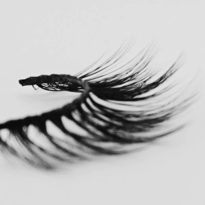 Soft Glam Lashes Lashes MBeauty 